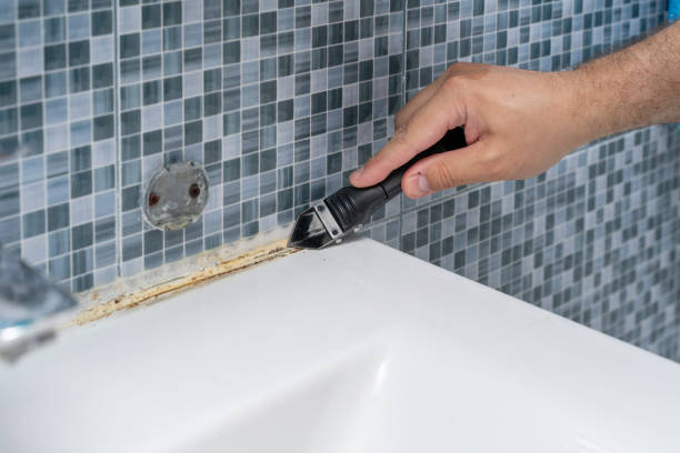 Best Mold Testing  in Drexel Heights, AZ